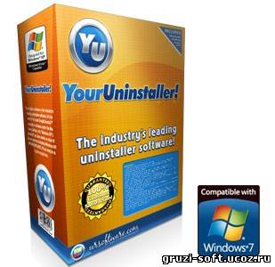 Your Uninstaller! Pro 7.3.2010.33